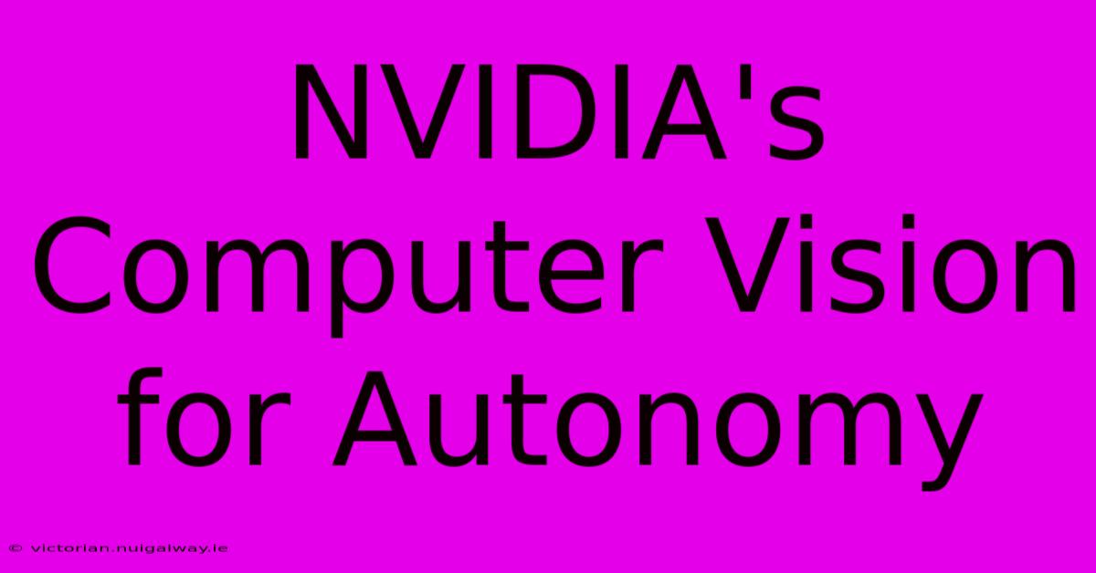 NVIDIA's Computer Vision For Autonomy