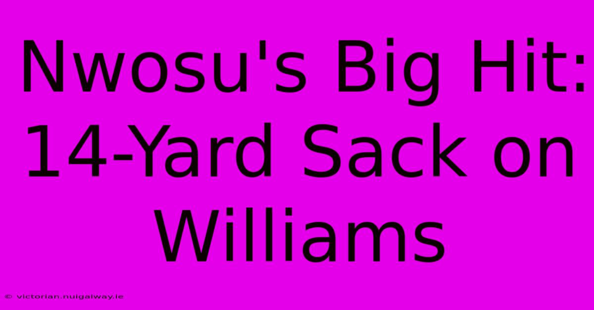 Nwosu's Big Hit: 14-Yard Sack On Williams