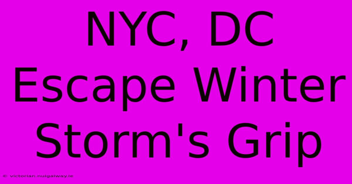 NYC, DC Escape Winter Storm's Grip