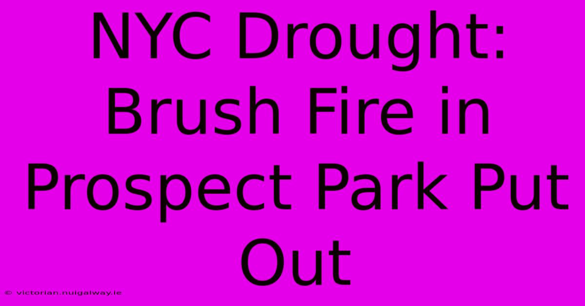 NYC Drought: Brush Fire In Prospect Park Put Out