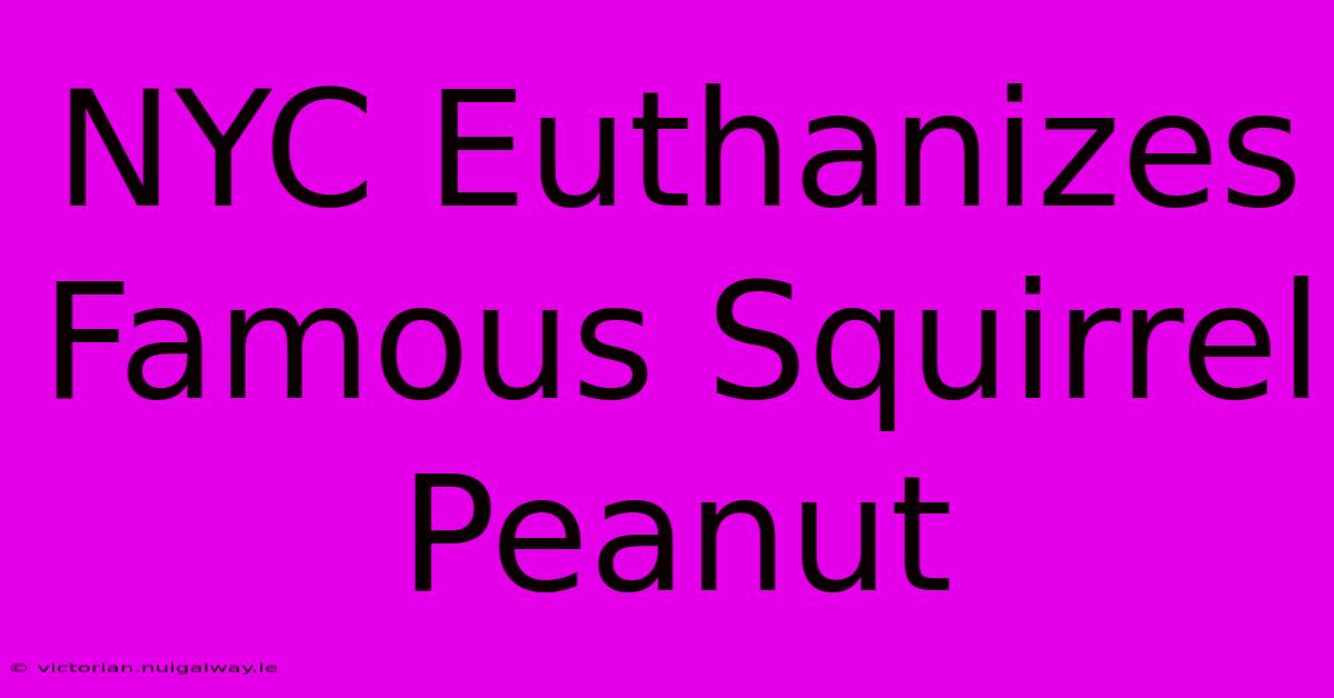 NYC Euthanizes Famous Squirrel Peanut