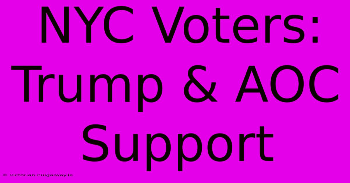 NYC Voters: Trump & AOC Support