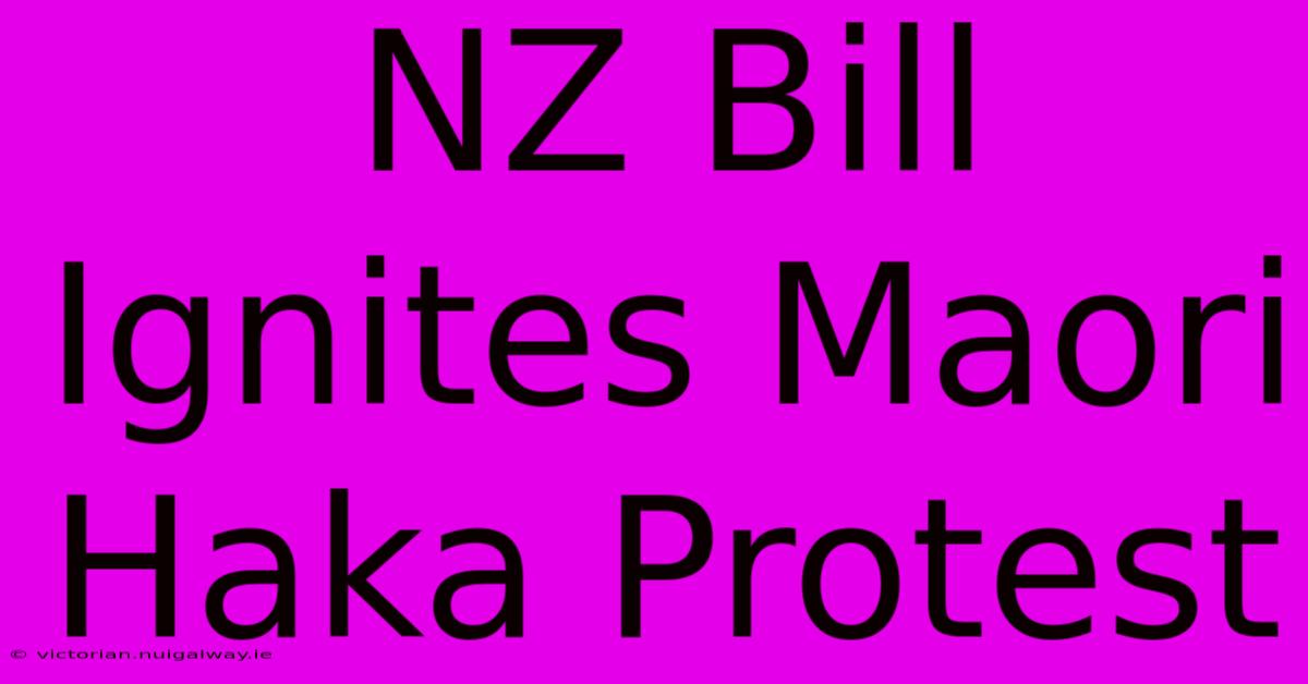 NZ Bill Ignites Maori Haka Protest