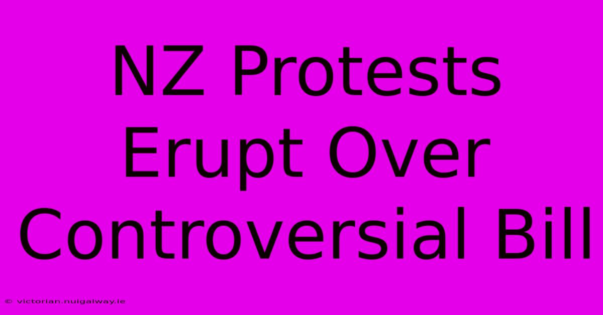 NZ Protests Erupt Over Controversial Bill