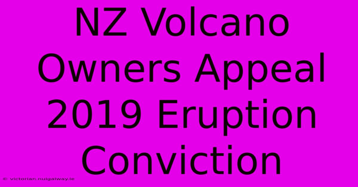 NZ Volcano Owners Appeal 2019 Eruption Conviction