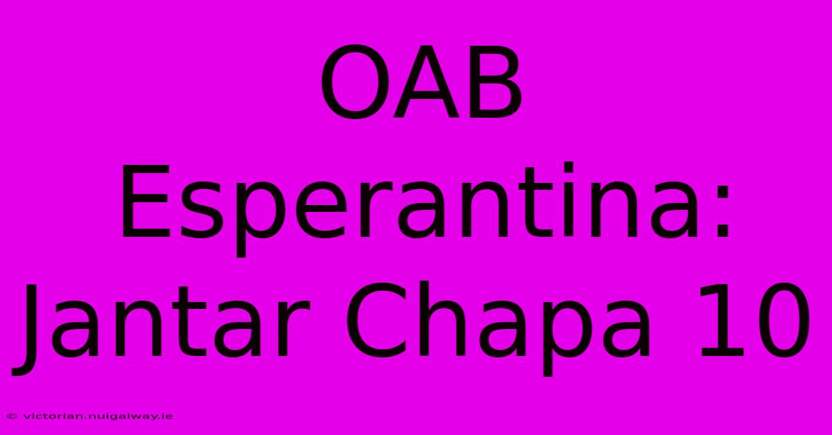 OAB Esperantina: Jantar Chapa 10