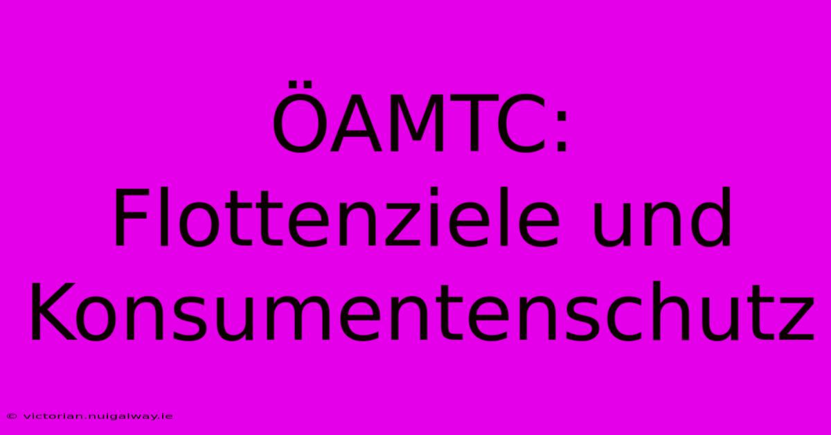 ÖAMTC:  Flottenziele Und Konsumentenschutz