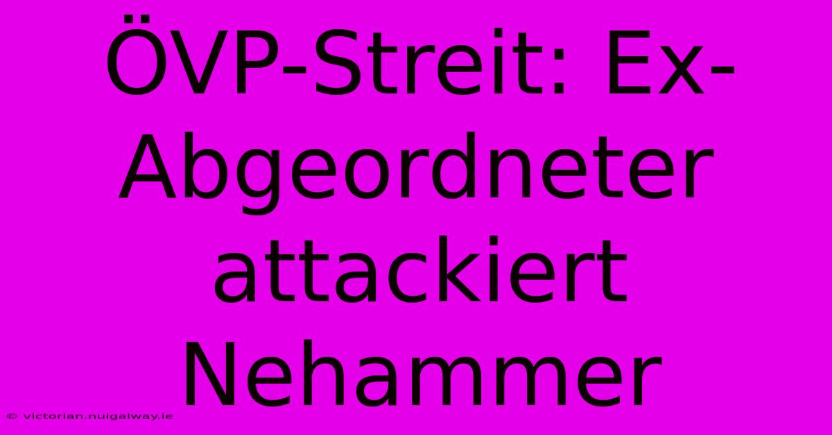 ÖVP-Streit: Ex-Abgeordneter Attackiert Nehammer 