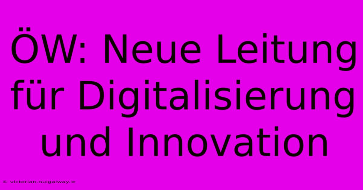 ÖW: Neue Leitung Für Digitalisierung Und Innovation