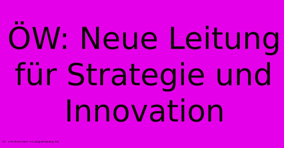 ÖW: Neue Leitung Für Strategie Und Innovation