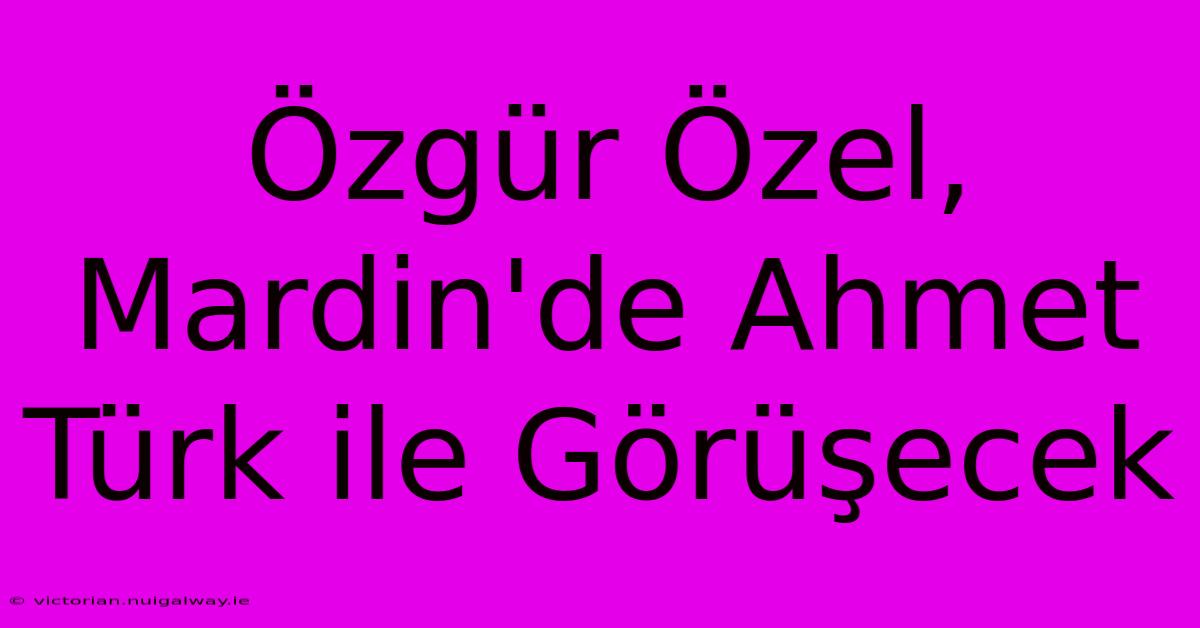 Özgür Özel, Mardin'de Ahmet Türk Ile Görüşecek