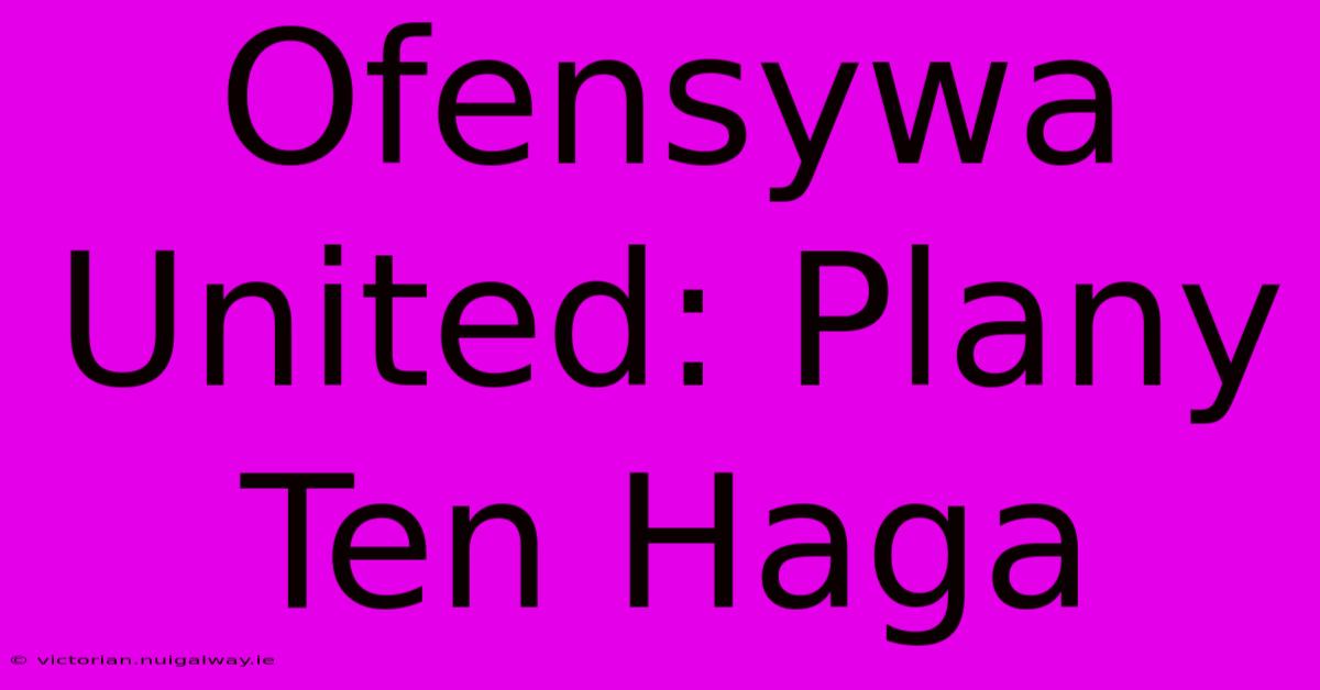 Ofensywa United: Plany Ten Haga