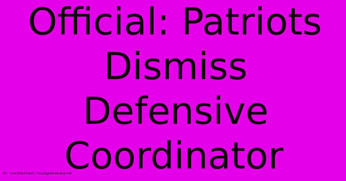 Official: Patriots Dismiss Defensive Coordinator