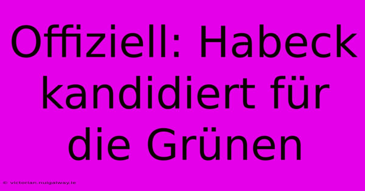 Offiziell: Habeck Kandidiert Für Die Grünen