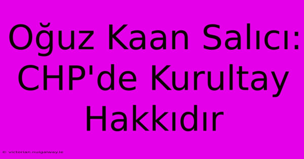 Oğuz Kaan Salıcı: CHP'de Kurultay Hakkıdır