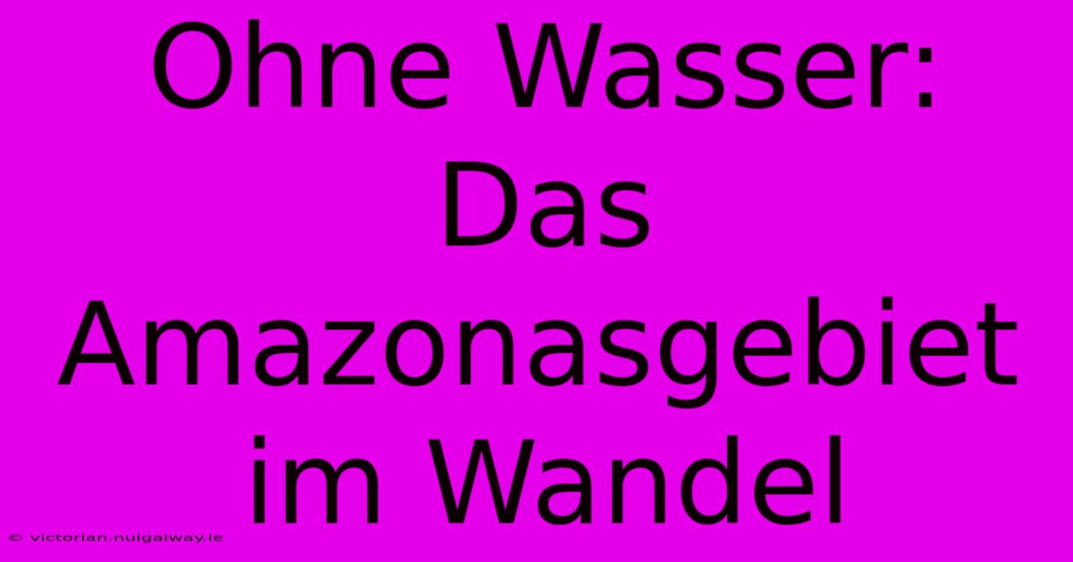 Ohne Wasser: Das Amazonasgebiet Im Wandel 