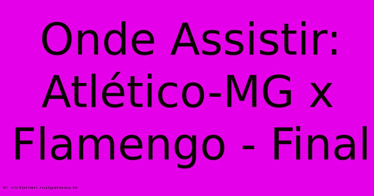 Onde Assistir: Atlético-MG X Flamengo - Final