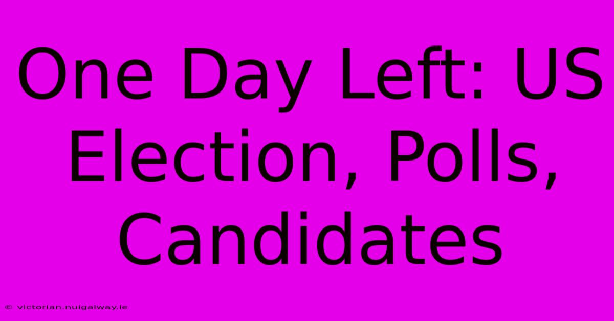 One Day Left: US Election, Polls, Candidates