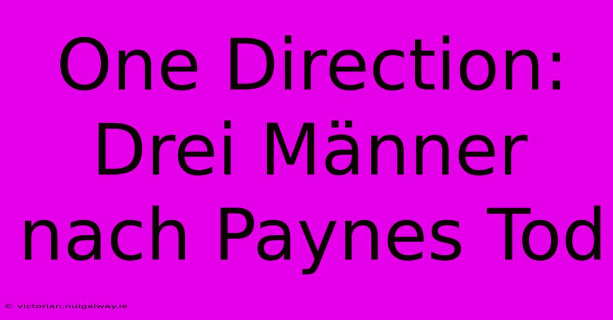 One Direction: Drei Männer Nach Paynes Tod