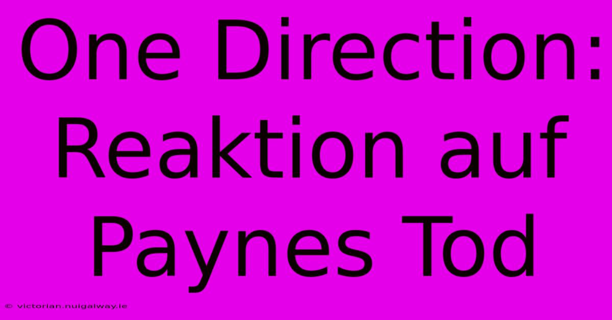 One Direction: Reaktion Auf Paynes Tod