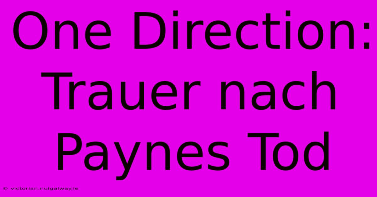 One Direction: Trauer Nach Paynes Tod