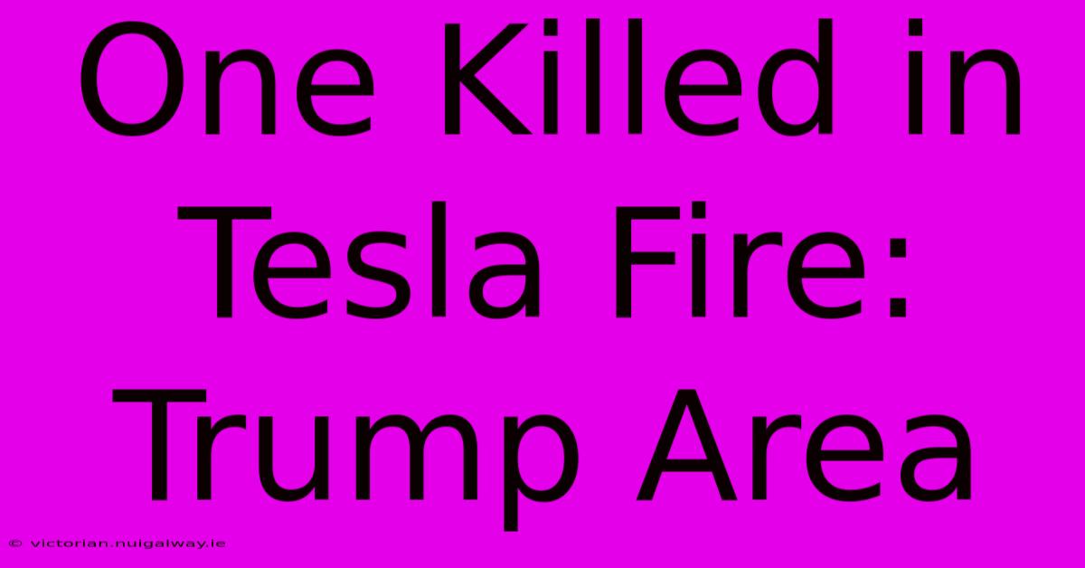 One Killed In Tesla Fire: Trump Area