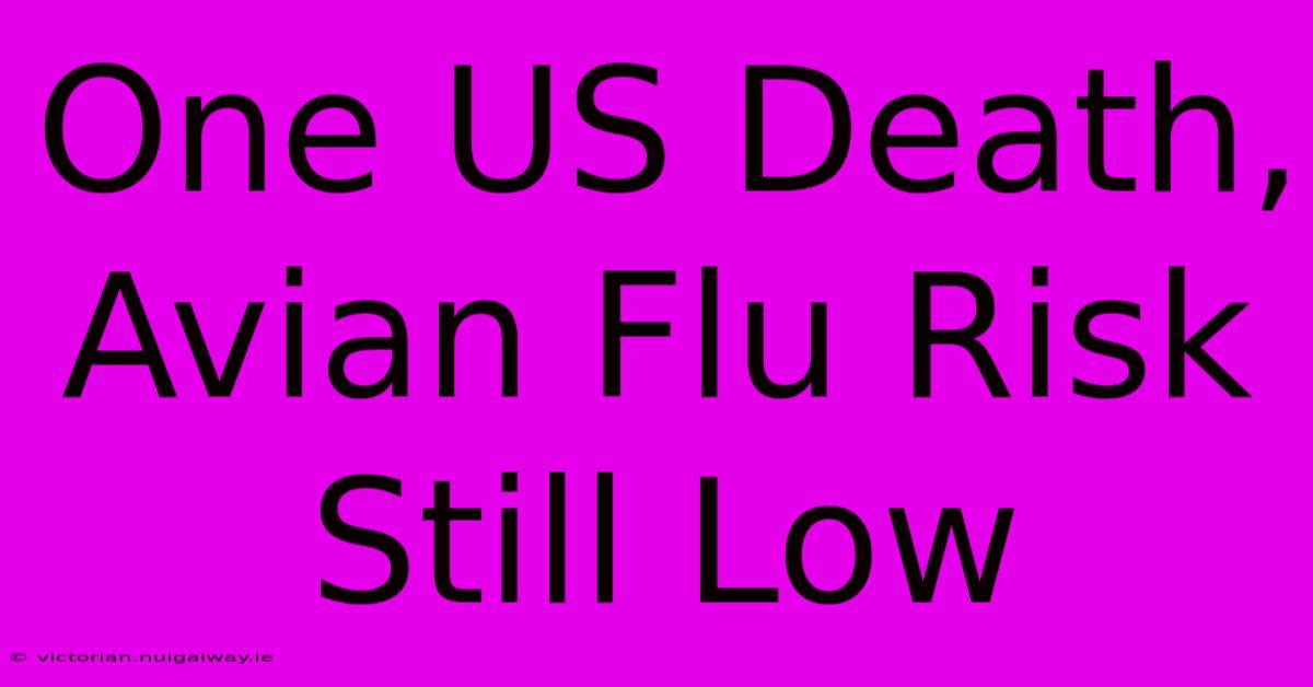 One US Death, Avian Flu Risk Still Low