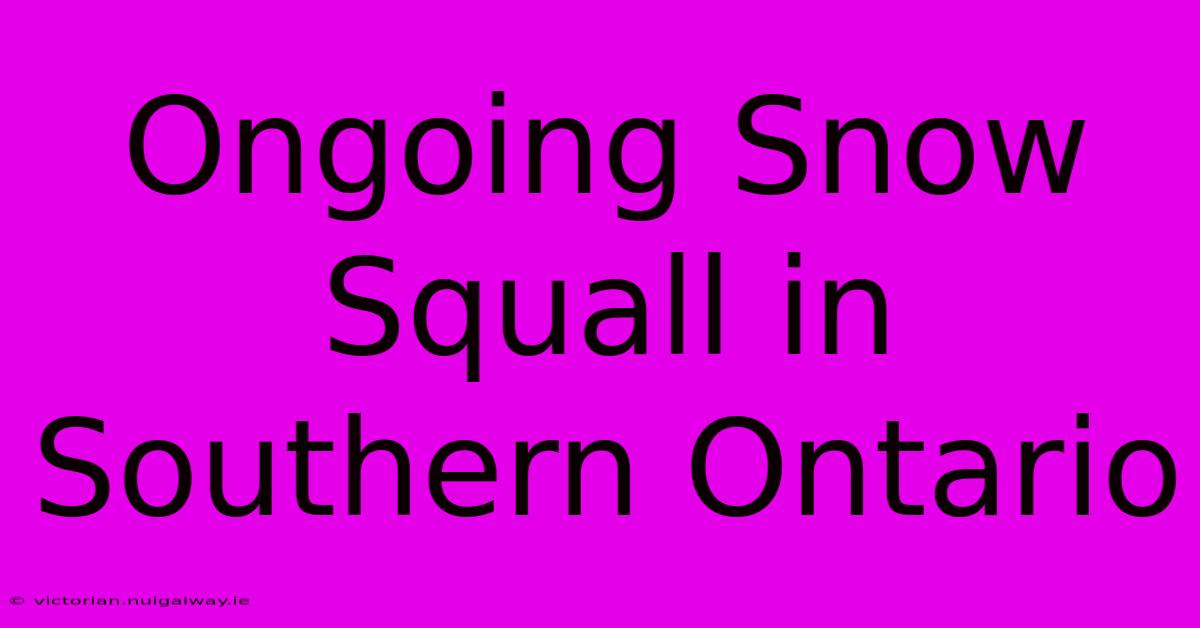 Ongoing Snow Squall In Southern Ontario