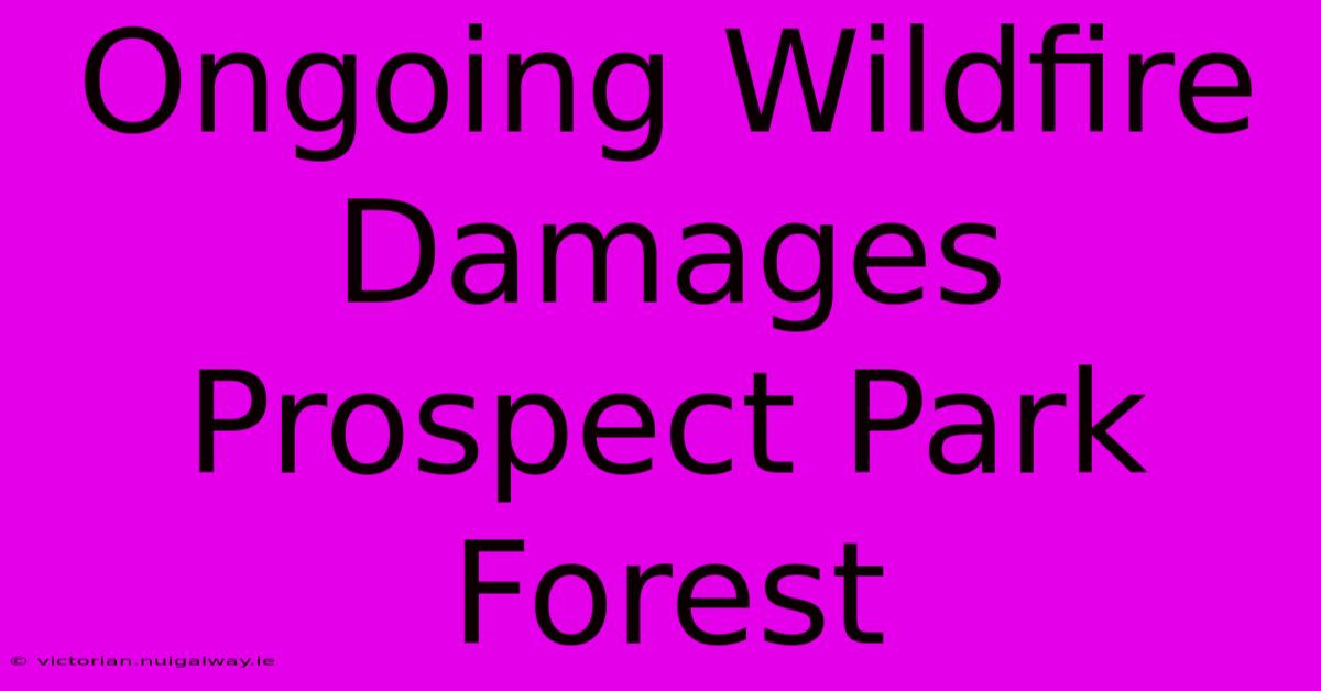 Ongoing Wildfire Damages Prospect Park Forest