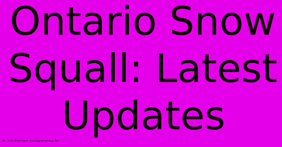 Ontario Snow Squall: Latest Updates