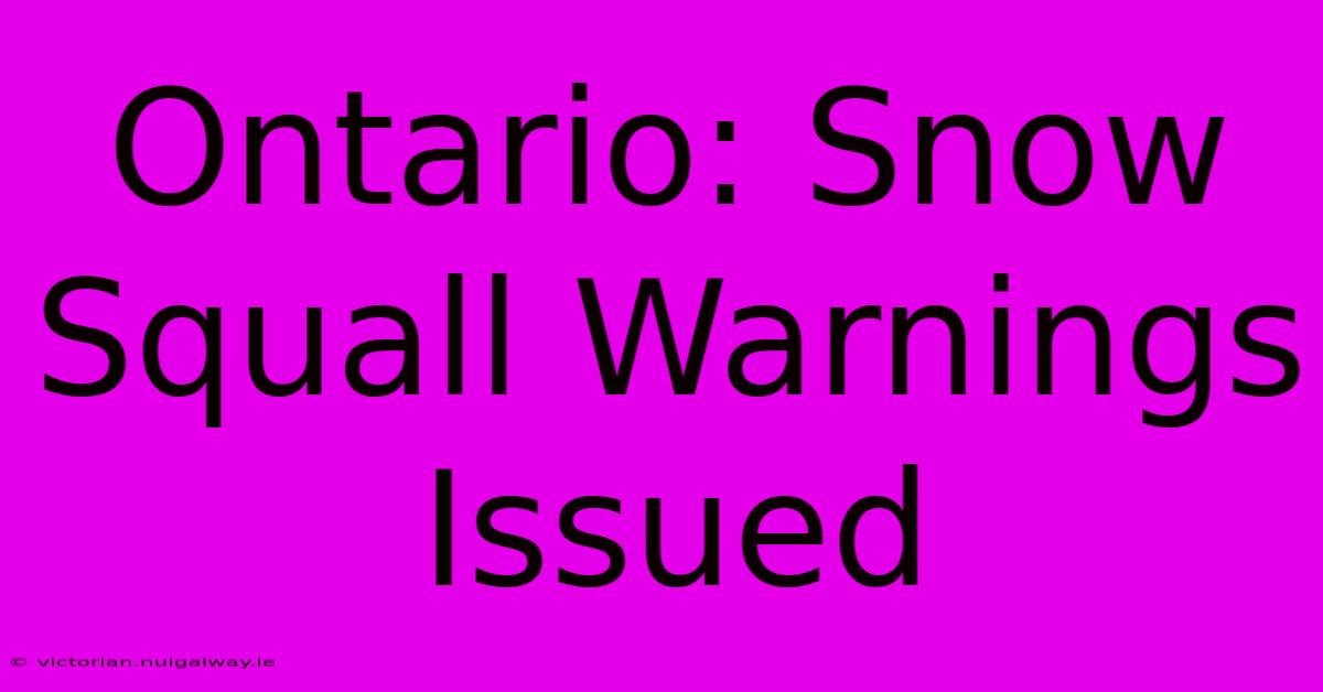 Ontario: Snow Squall Warnings Issued