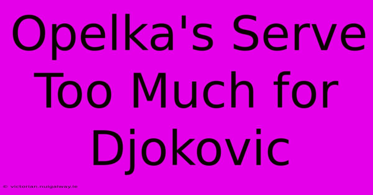 Opelka's Serve Too Much For Djokovic