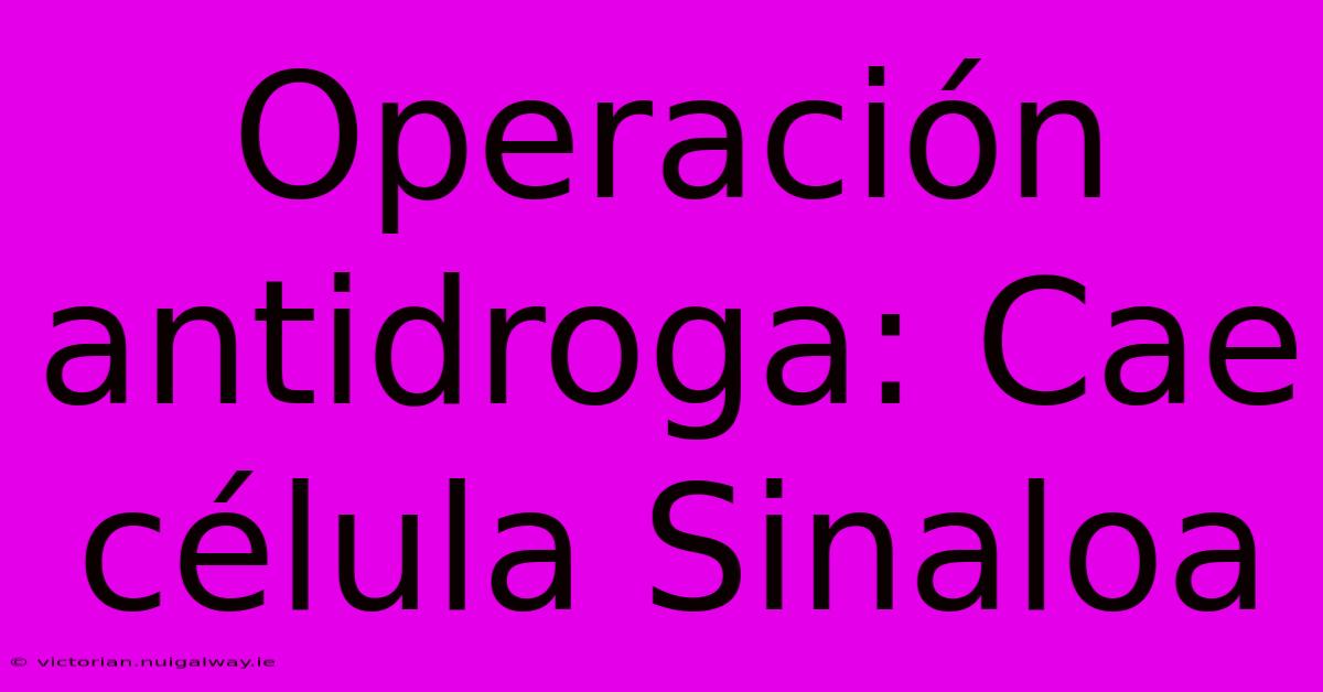 Operación Antidroga: Cae Célula Sinaloa