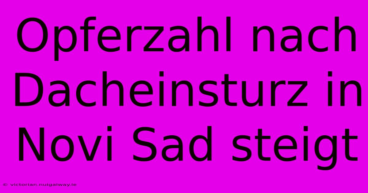 Opferzahl Nach Dacheinsturz In Novi Sad Steigt