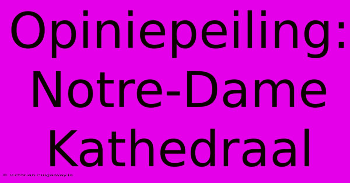 Opiniepeiling: Notre-Dame Kathedraal