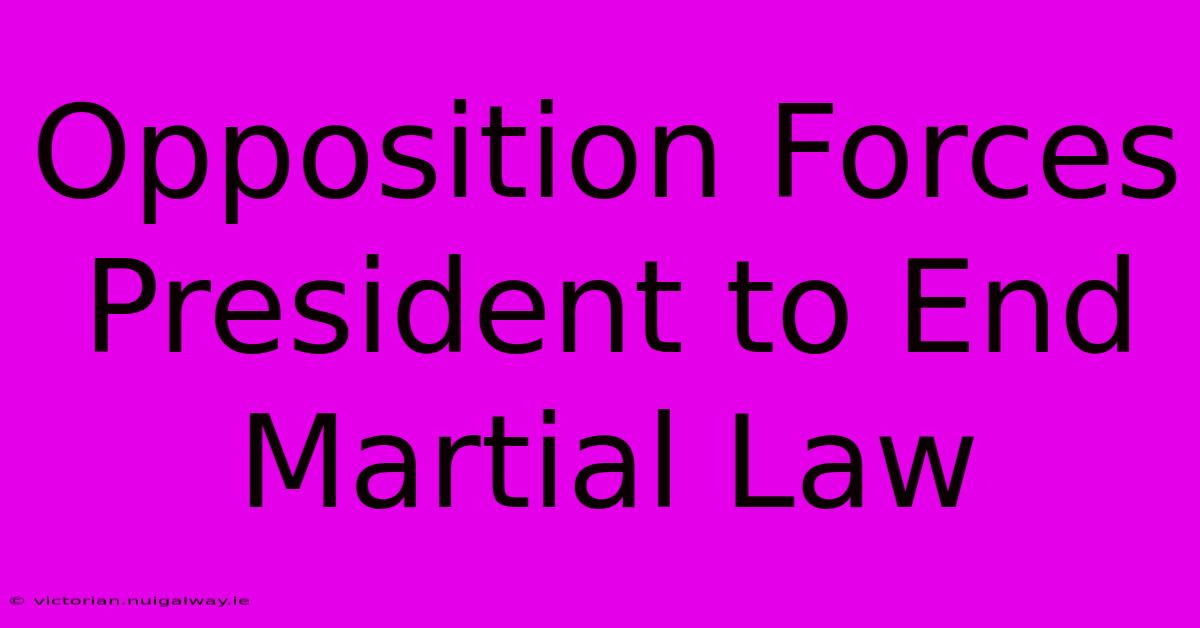 Opposition Forces President To End Martial Law