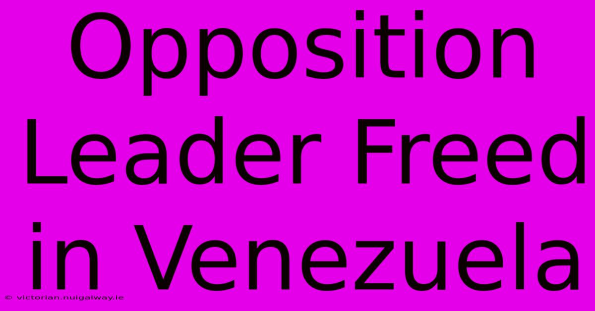 Opposition Leader Freed In Venezuela