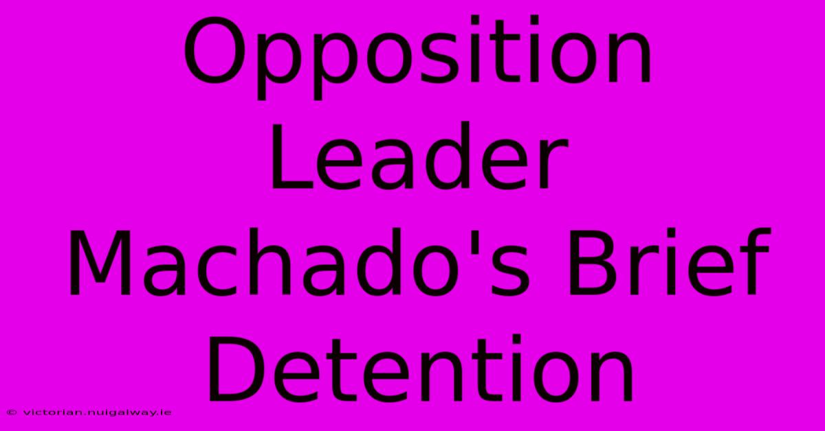 Opposition Leader Machado's Brief Detention