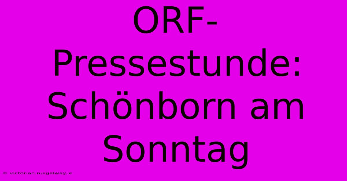 ORF-Pressestunde: Schönborn Am Sonntag