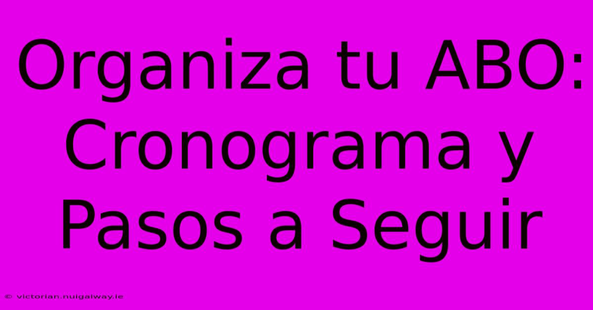 Organiza Tu ABO: Cronograma Y Pasos A Seguir