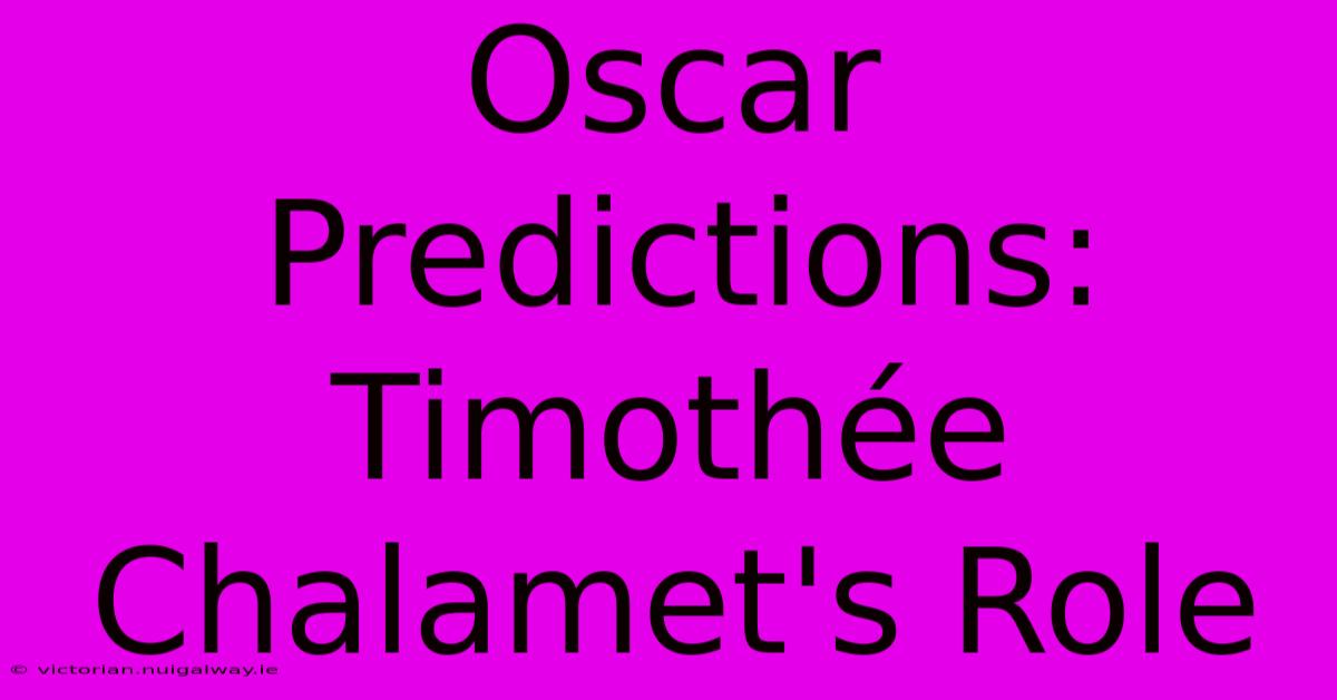 Oscar Predictions: Timothée Chalamet's Role