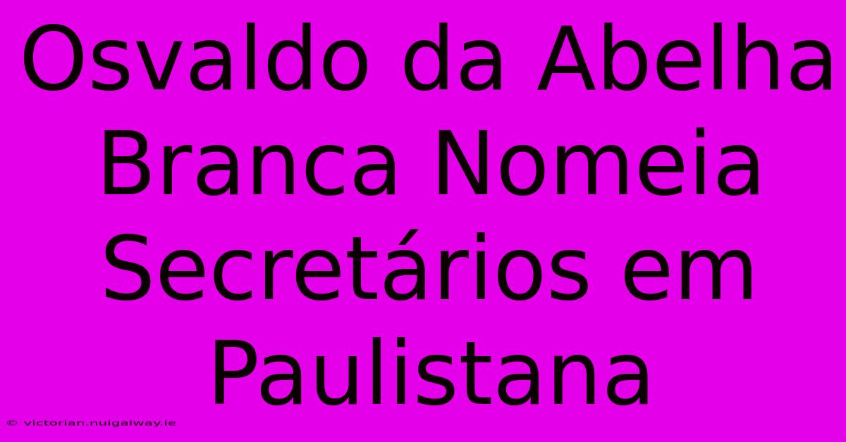 Osvaldo Da Abelha Branca Nomeia Secretários Em Paulistana