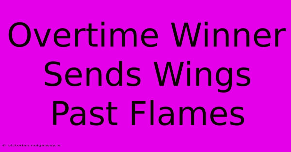 Overtime Winner Sends Wings Past Flames