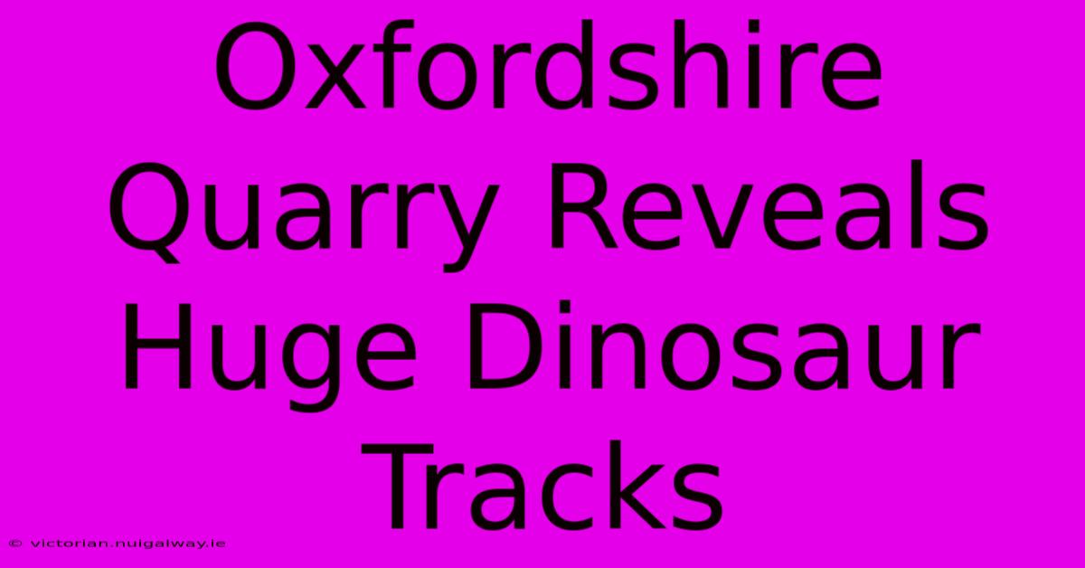 Oxfordshire Quarry Reveals Huge Dinosaur Tracks