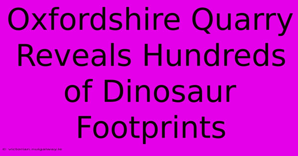 Oxfordshire Quarry Reveals Hundreds Of Dinosaur Footprints