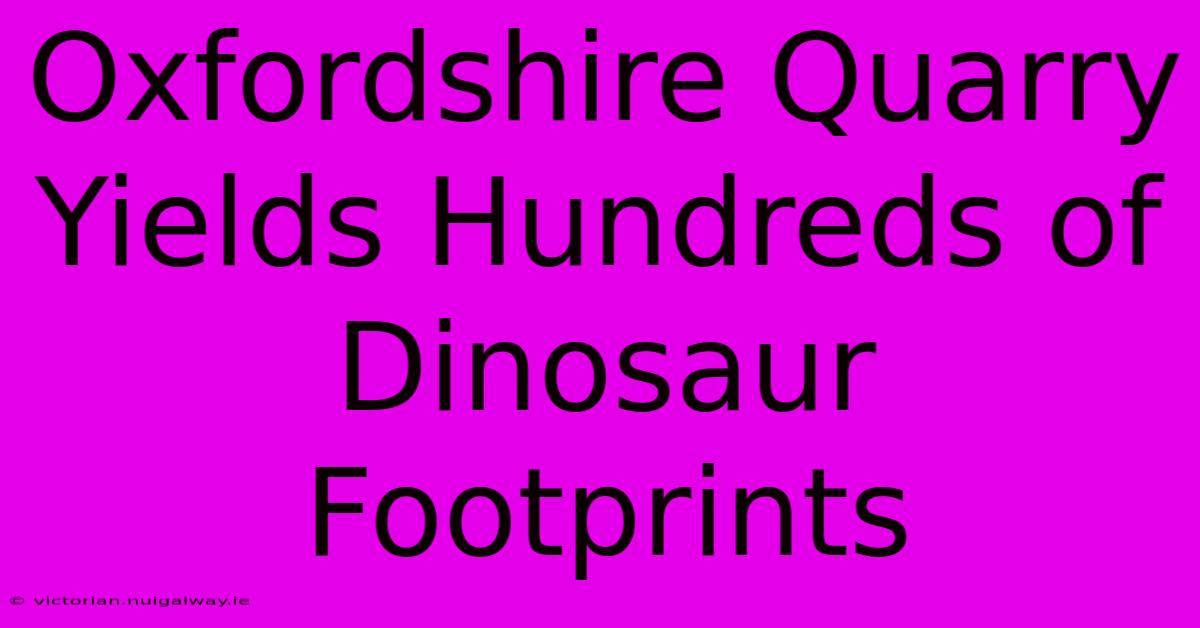 Oxfordshire Quarry Yields Hundreds Of Dinosaur Footprints