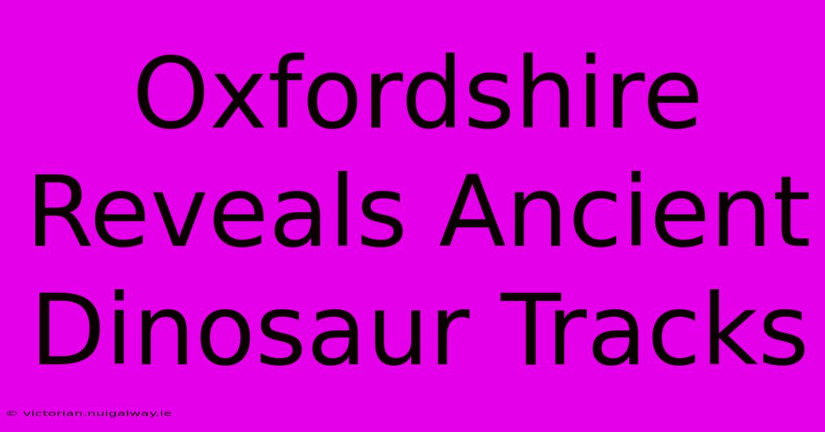 Oxfordshire Reveals Ancient Dinosaur Tracks