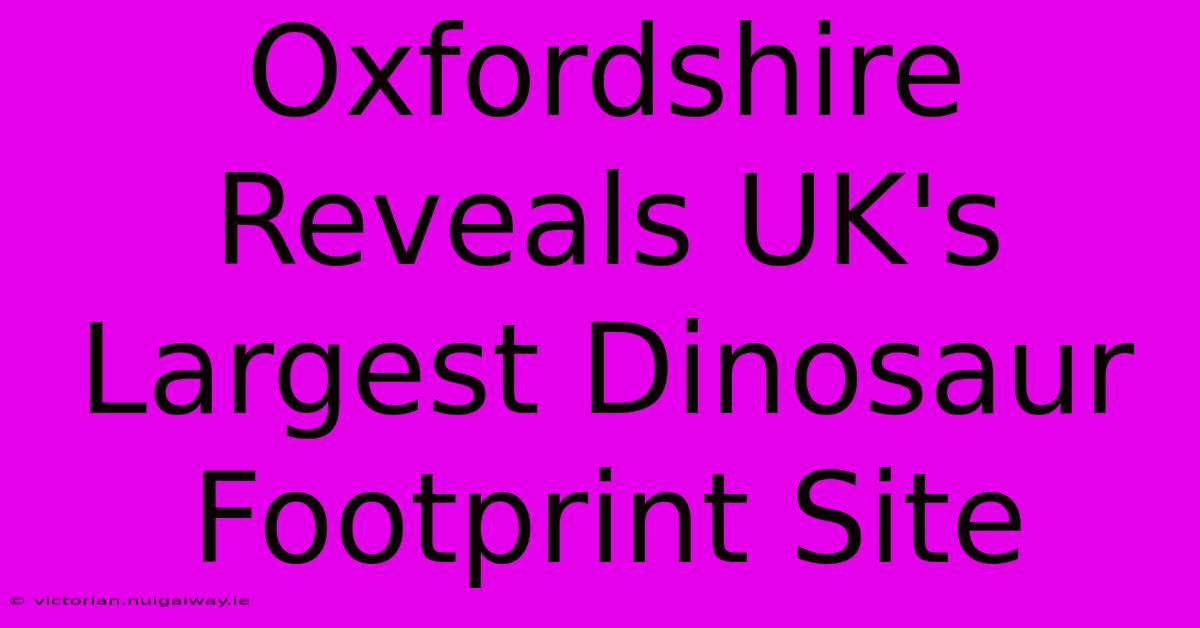 Oxfordshire Reveals UK's Largest Dinosaur Footprint Site