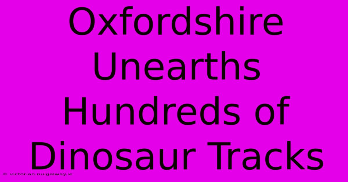 Oxfordshire Unearths Hundreds Of Dinosaur Tracks