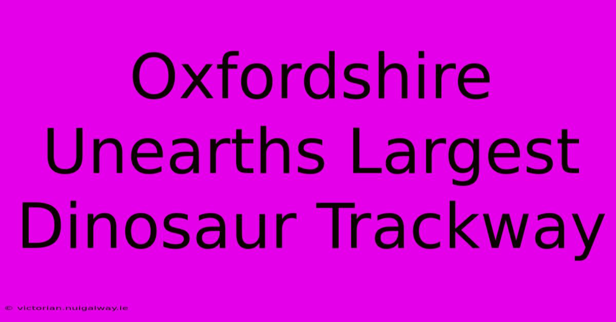 Oxfordshire Unearths Largest Dinosaur Trackway